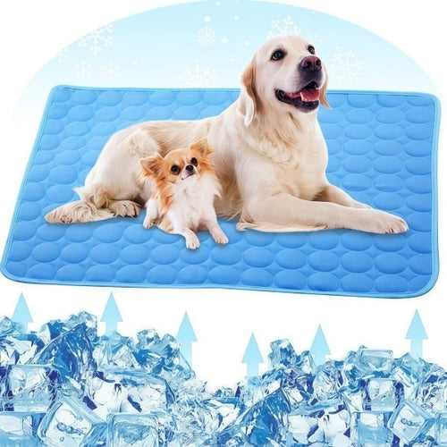 Tappetino rinfrescante per animali domestici: il massimo comfort estivo