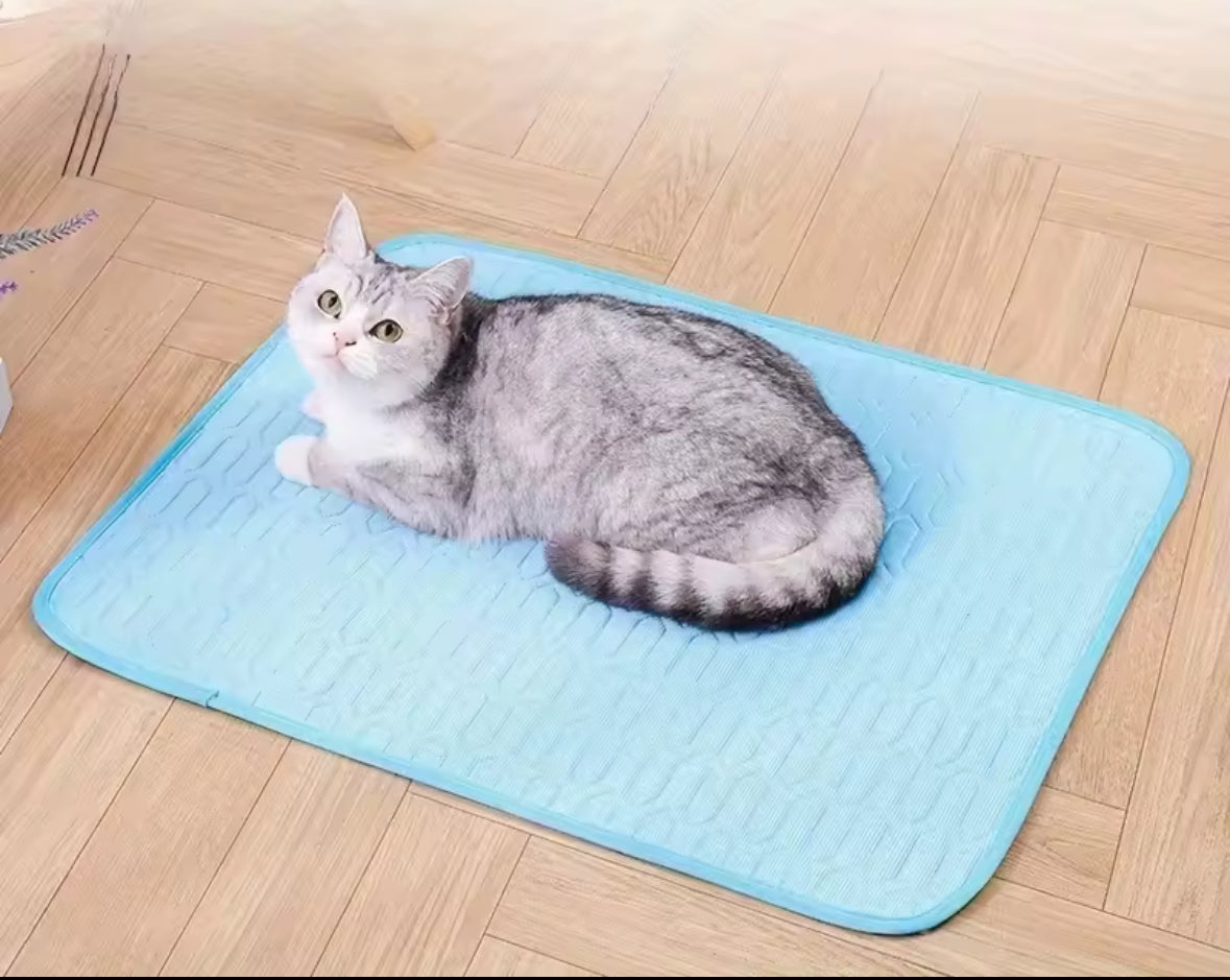 Tappetino rinfrescante per animali domestici: il massimo comfort estivo